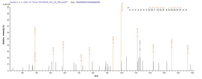 Based on the SEQUEST from database of E.coli host and target protein, the LC-MS/MS Analysis result of this product could indicate that this peptide derived from E.coli-expressed Human papillomavirus type 16 E7.Recombinant Human Papillomavirus Type 16 Protein E7 (E7) Protein (GST)