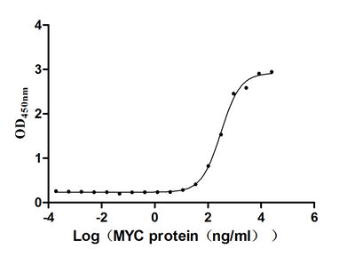 Activity Measured by its binding ability in a functional ELISA. Immobilized HPV16 E7 at 10 μg/ml can bind Biotinylated MYC, the EC 50 is 268.1-354.3 ng/mL. Biological Activity AssayRecombinant Human Papillomavirus Type 16 Protein E7 (E7) Protein (His&His), Active