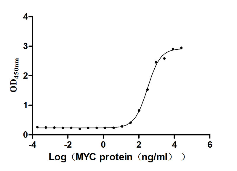 Activity Measured by its binding ability in a functional ELISA. Immobilized HPV16 E7 at 10 μg/ml can bind Biotinylated MYC, the EC 50 is 268.1-354.3 ng/mL. Biological Activity AssayRecombinant Human Papillomavirus Type 16 Protein E7 (E7) Protein (His&His), Active