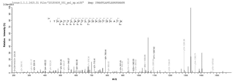 Based on the SEQUEST from database of E.coli host and target protein, the LC-MS/MS Analysis result of this product could indicate that this peptide derived from E.coli-expressed Epstein-Barr virus (strain B95-8) (HHV-4) (Human herpesvirus 4) BDLF3.Recombinant Epstein-Barr Virus Glycoprotein Bdlf3 (BDLF3) Protein (His&Myc)