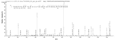 Based on the SEQUEST from database of E.coli host and target protein, the LC-MS/MS Analysis result of this product could indicate that this peptide derived from E.coli-expressed Epstein-Barr virus (strain B95-8) (HHV-4) (Human herpesvirus 4) BDLF3.Recombinant Epstein-Barr Virus Glycoprotein Bdlf3 (BDLF3) Protein (His&Myc)