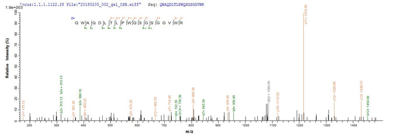 Based on the SEQUEST from database of E.coli host and target protein, the LC-MS/MS Analysis result of this product could indicate that this peptide derived from E.coli-expressed Yellow fever virus (strain 17D vaccine) (YFV) N/A.Recombinant Yellow Fever Virus Genome Polyprotein Protein (His-GST&Myc)
