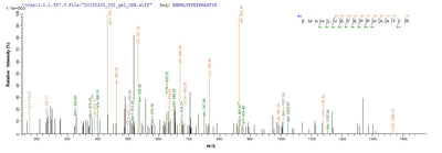 Based on the SEQUEST from database of E.coli host and target protein, the LC-MS/MS Analysis result of this product could indicate that this peptide derived from E.coli-expressed Yellow fever virus (strain 17D vaccine) (YFV) N/A.Recombinant Yellow Fever Virus Genome Polyprotein Protein (His-GST&Myc)