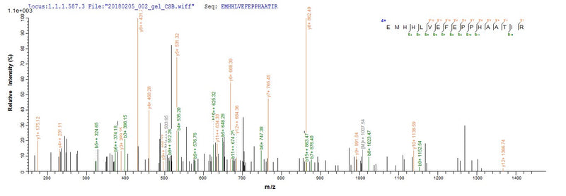 Based on the SEQUEST from database of E.coli host and target protein, the LC-MS/MS Analysis result of this product could indicate that this peptide derived from E.coli-expressed Yellow fever virus (strain 17D vaccine) (YFV) N/A.Recombinant Yellow Fever Virus Genome Polyprotein Protein (His-GST&Myc)