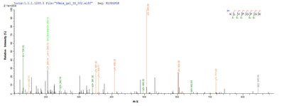 Based on the SEQUEST from database of E.coli host and target protein, the LC-MS/MS Analysis result of this product could indicate that this peptide derived from E.coli-expressed Rabies virus (strain ERA) (RABV) G.Recombinant Rabies Virus Glycoprotein (G) Protein (His-SUMO)