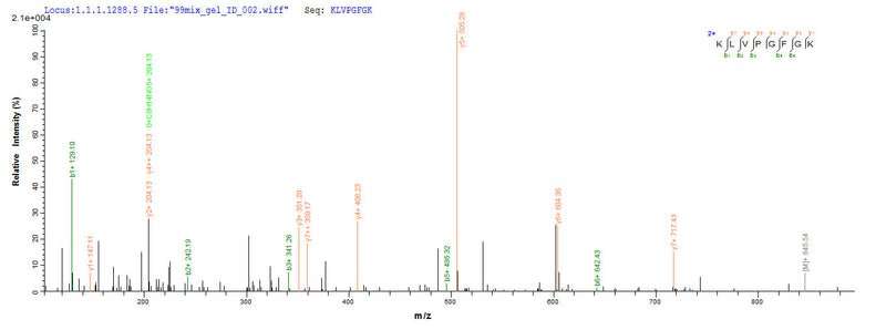 Based on the SEQUEST from database of E.coli host and target protein, the LC-MS/MS Analysis result of this product could indicate that this peptide derived from E.coli-expressed Rabies virus (strain ERA) (RABV) G.Recombinant Rabies Virus Glycoprotein (G) Protein (His-SUMO)