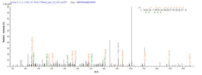 Based on the SEQUEST from database of E.coli host and target protein, the LC-MS/MS Analysis result of this product could indicate that this peptide derived from E.coli-expressed Rabies virus (strain ERA) (RABV) G.Recombinant Rabies Virus Glycoprotein (G) Protein (His-SUMO)