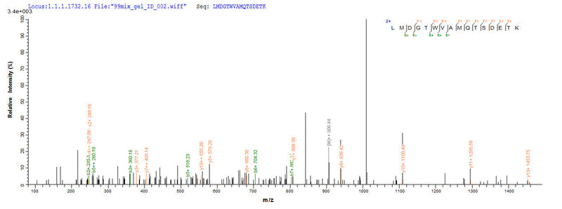 Based on the SEQUEST from database of E.coli host and target protein, the LC-MS/MS Analysis result of this product could indicate that this peptide derived from E.coli-expressed Rabies virus (strain ERA) (RABV) G.