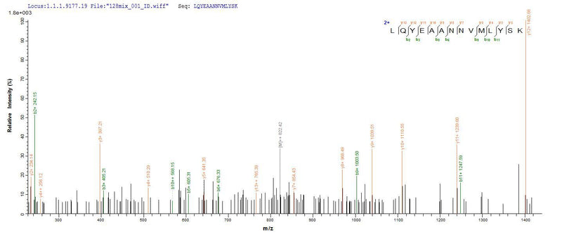 Based on the SEQUEST from database of E.coli host and target protein, the LC-MS/MS Analysis result of this product could indicate that this peptide derived from E.coli-expressed Enterobacteria phage T4 (Bacteriophage T4) uvsY.Recombinant Enterobacteria Phage T4 Recombination Protein Uvsy (UVSY) Protein (His-SUMO)