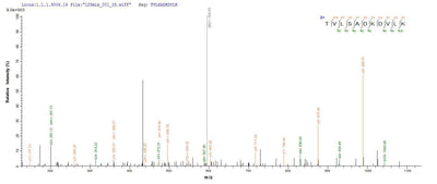 Based on the SEQUEST from database of E.coli host and target protein, the LC-MS/MS Analysis result of this product could indicate that this peptide derived from E.coli-expressed Enterobacteria phage T4 (Bacteriophage T4) uvsY.Recombinant Enterobacteria Phage T4 Recombination Protein Uvsy (UVSY) Protein (His-SUMO)