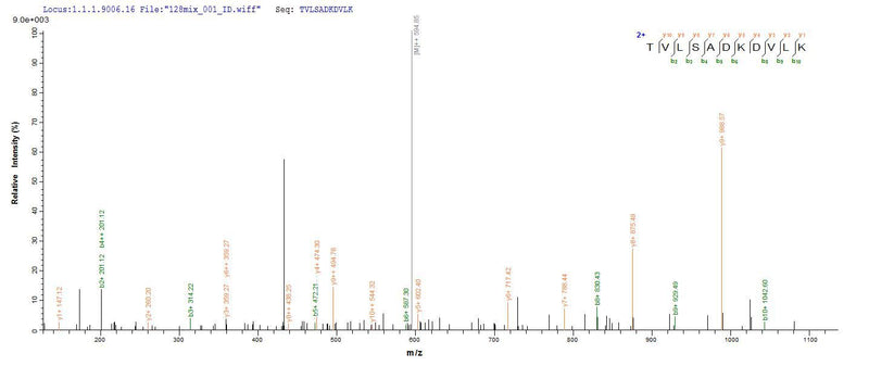 Based on the SEQUEST from database of E.coli host and target protein, the LC-MS/MS Analysis result of this product could indicate that this peptide derived from E.coli-expressed Enterobacteria phage T4 (Bacteriophage T4) uvsY.Recombinant Enterobacteria Phage T4 Recombination Protein Uvsy (UVSY) Protein (His-SUMO)