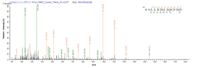 Based on the SEQUEST from database of E.coli host and target protein, the LC-MS/MS Analysis result of this product could indicate that this peptide derived from E.coli-expressed Influenza A virus (strain A/USA:Iowa/1943 H1N1) M.Recombinant Influenza A Virus Matrix Protein 1 (M) Protein (His&Myc)