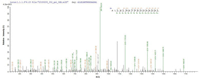 Based on the SEQUEST from database of E.coli host and target protein, the LC-MS/MS Analysis result of this product could indicate that this peptide derived from E.coli-expressed Akkermansia muciniphila (strain ATCC BAA-835 / Muc) ruvC.Recombinant Akkermansia Muciniphila Crossover Junction Endodeoxyribonuclease Ruvc (RUVC) Protein (His&Myc)