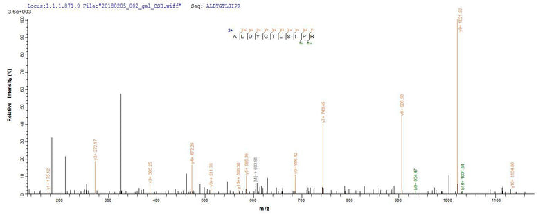 Based on the SEQUEST from database of E.coli host and target protein, the LC-MS/MS Analysis result of this product could indicate that this peptide derived from E.coli-expressed Akkermansia muciniphila (strain ATCC BAA-835 / Muc) ruvC.Recombinant Akkermansia Muciniphila Crossover Junction Endodeoxyribonuclease Ruvc (RUVC) Protein (His&Myc)