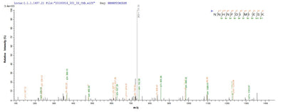 Based on the SEQUEST from database of E.coli host and target protein, the LC-MS/MS Analysis result of this product could indicate that this peptide derived from E.coli-expressed Bacillus cereus (strain G9842) uvsE.