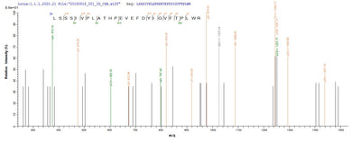 Based on the SEQUEST from database of E.coli host and target protein, the LC-MS/MS Analysis result of this product could indicate that this peptide derived from E.coli-expressed Bacillus cereus (strain G9842) uvsE.
