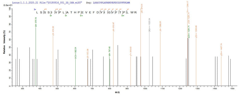 Based on the SEQUEST from database of E.coli host and target protein, the LC-MS/MS Analysis result of this product could indicate that this peptide derived from E.coli-expressed Bacillus cereus (strain G9842) uvsE.