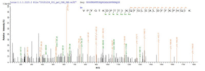Based on the SEQUEST from database of E.coli host and target protein, the LC-MS/MS Analysis result of this product could indicate that this peptide derived from E.coli-expressed Helicobacter pylori (strain G27) murI.