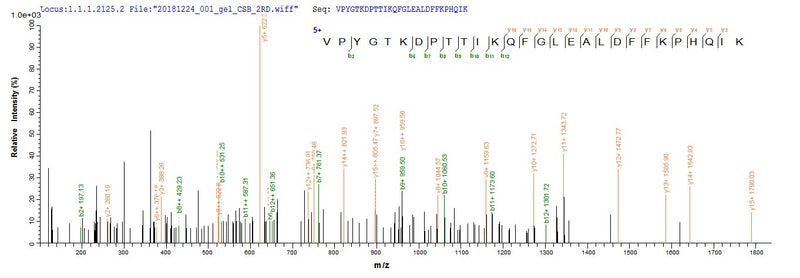 Based on the SEQUEST from database of E.coli host and target protein, the LC-MS/MS Analysis result of this product could indicate that this peptide derived from E.coli-expressed Helicobacter pylori (strain G27) murI.