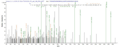Based on the SEQUEST from database of E.coli host and target protein, the LC-MS/MS Analysis result of this product could indicate that this peptide derived from E.coli-expressed Caulobacter vibrioides (strain NA1000 / CB15N) (Caulobacter crescentus) alkB.Recombinant Caulobacter Vibrioides Alpha-Ketoglutarate-Dependent Dioxygenase Alkb Homolog (ALKB) Protein (His&Myc)