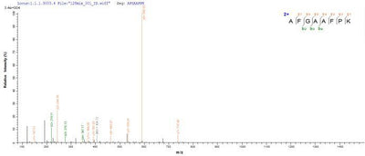 Based on the SEQUEST from database of E.coli host and target protein, the LC-MS/MS Analysis result of this product could indicate that this peptide derived from E.coli-expressed Klebsiella pneumoniae blaNDM-1.Recombinant Klebsiella Pneumoniae Metallo-Beta-Lactamase Type 2 (BLANDM-1) Protein (His-SUMO)