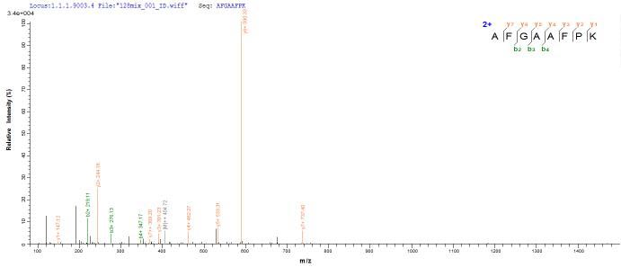 Based on the SEQUEST from database of E.coli host and target protein, the LC-MS/MS Analysis result of this product could indicate that this peptide derived from E.coli-expressed Klebsiella pneumoniae blaNDM-1.Recombinant Klebsiella Pneumoniae Metallo-Beta-Lactamase Type 2 (BLANDM-1) Protein (His-SUMO)