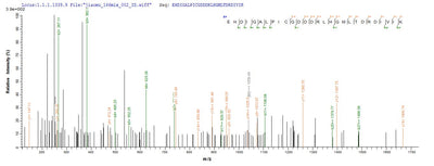 Based on the SEQUEST from database of E.coli host and target protein, the LC-MS/MS Analysis result of this product could indicate that this peptide derived from E.coli-expressed Mycobacterium tuberculosis (strain ATCC 25618 / H37Rv) hrp1.Recombinant Mycobacterium Tuberculosis Hypoxic Response Protein 1 (HRP1) Protein (His-SUMO&Myc)