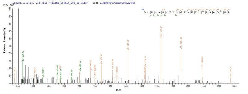 Based on the SEQUEST from database of E.coli host and target protein, the LC-MS/MS Analysis result of this product could indicate that this peptide derived from E.coli-expressed Mycobacterium tuberculosis (strain ATCC 25618 / H37Rv) hrp1.Recombinant Mycobacterium Tuberculosis Hypoxic Response Protein 1 (HRP1) Protein (His-SUMO&Myc)