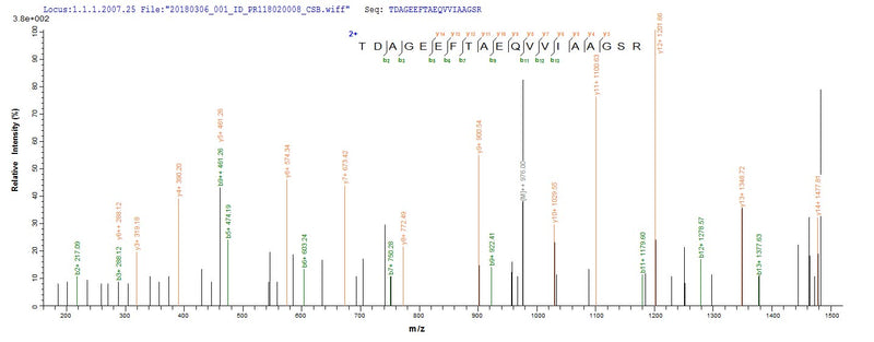 Based on the SEQUEST from database of E.coli host and target protein, the LC-MS/MS Analysis result of this product could indicate that this peptide derived from E.coli-expressed Mycobacterium tuberculosis (strain CDC 1551 / Oshkosh) mtr.Recombinant Mycobacterium Tuberculosis Mycothione Reductase (MTR) Protein (His-SUMO&Myc)