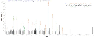 Based on the SEQUEST from database of E.coli host and target protein, the LC-MS/MS Analysis result of this product could indicate that this peptide derived from E.coli-expressed Mycobacterium tuberculosis (strain CDC 1551 / Oshkosh) mtr.Recombinant Mycobacterium Tuberculosis Mycothione Reductase (MTR) Protein (His-SUMO&Myc)