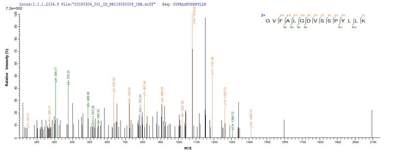 Based on the SEQUEST from database of E.coli host and target protein, the LC-MS/MS Analysis result of this product could indicate that this peptide derived from E.coli-expressed Mycobacterium tuberculosis (strain CDC 1551 / Oshkosh) mtr.Recombinant Mycobacterium Tuberculosis Mycothione Reductase (MTR) Protein (His-SUMO&Myc)