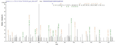 Based on the SEQUEST from database of E.coli host and target protein, the LC-MS/MS Analysis result of this product could indicate that this peptide derived from E.coli-expressed Aeromonas hydrophila fkpA.Recombinant Aeromonas Hydrophila Fkbp-Type Peptidyl-Prolyl Cis-Trans Isomerase Fkpa (FKPA) Protein (His-SUMO)
