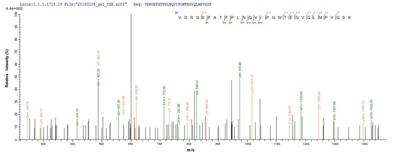 Based on the SEQUEST from database of E.coli host and target protein, the LC-MS/MS Analysis result of this product could indicate that this peptide derived from E.coli-expressed Aeromonas hydrophila fkpA.Recombinant Aeromonas Hydrophila Fkbp-Type Peptidyl-Prolyl Cis-Trans Isomerase Fkpa (FKPA) Protein (His-SUMO)
