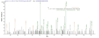 Based on the SEQUEST from database of E.coli host and target protein, the LC-MS/MS Analysis result of this product could indicate that this peptide derived from E.coli-expressed Aeromonas hydrophila fkpA.Recombinant Aeromonas Hydrophila Fkbp-Type Peptidyl-Prolyl Cis-Trans Isomerase Fkpa (FKPA) Protein (His-SUMO)