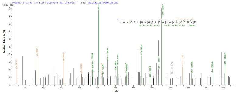 Based on the SEQUEST from database of E.coli host and target protein, the LC-MS/MS Analysis result of this product could indicate that this peptide derived from E.coli-expressed Aeromonas hydrophila fkpA.Recombinant Aeromonas Hydrophila Fkbp-Type Peptidyl-Prolyl Cis-Trans Isomerase Fkpa (FKPA) Protein (His-SUMO)