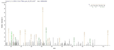 Based on the SEQUEST from database of E.coli host and target protein, the LC-MS/MS Analysis result of this product could indicate that this peptide derived from E.coli-expressed Drosophila melanogaster (Fruit fly) lush.Recombinant Drosophila Melanogaster General Odorant-Binding Protein Lush (LUSH) Protein (His&Myc)