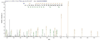 Based on the SEQUEST from database of E.coli host and target protein, the LC-MS/MS Analysis result of this product could indicate that this peptide derived from E.coli-expressed Drosophila melanogaster (Fruit fly) lush.Recombinant Drosophila Melanogaster General Odorant-Binding Protein Lush (LUSH) Protein (His&Myc)