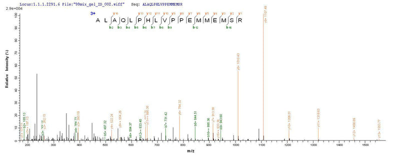 Based on the SEQUEST from database of E.coli host and target protein, the LC-MS/MS Analysis result of this product could indicate that this peptide derived from E.coli-expressed Drosophila melanogaster (Fruit fly) lush.Recombinant Drosophila Melanogaster General Odorant-Binding Protein Lush (LUSH) Protein (His&Myc)