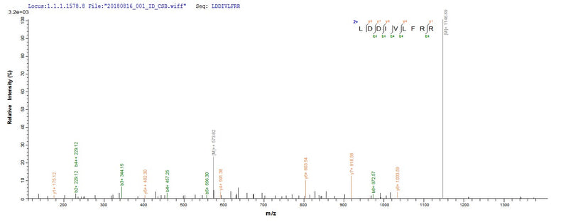 Based on the SEQUEST from database of E.coli host and target protein, the LC-MS/MS Analysis result of this product could indicate that this peptide derived from E.coli-expressed Trypanosoma cruzi HSP100.Recombinant Trypanosoma Cruzi Heat Shock Protein 100 (HSP100) Protein (His&Myc)