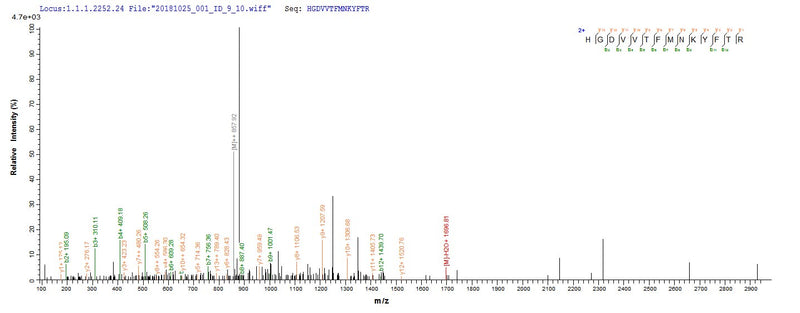 Based on the SEQUEST from database of E.coli host and target protein, the LC-MS/MS Analysis result of this product could indicate that this peptide derived from E.coli-expressed Eisenia fetida (Red wiggler worm) N/A.Recombinant Eisenia Foetida Lysenin-Related Protein 2 (LRP-2) Protein (His&Myc)