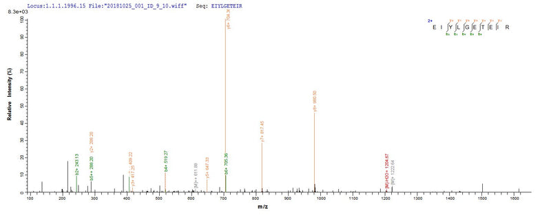 Based on the SEQUEST from database of E.coli host and target protein, the LC-MS/MS Analysis result of this product could indicate that this peptide derived from E.coli-expressed Eisenia fetida (Red wiggler worm) N/A.Recombinant Eisenia Foetida Lysenin-Related Protein 2 (LRP-2) Protein (His&Myc)