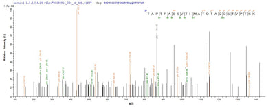 Based on the SEQUEST from database of E.coli host and target protein, the LC-MS/MS Analysis result of this product could indicate that this peptide derived from E.coli-expressed Homo sapiens (Human) PODXL.Recombinant Human Podocalyxin (PODXL) Protein (His)