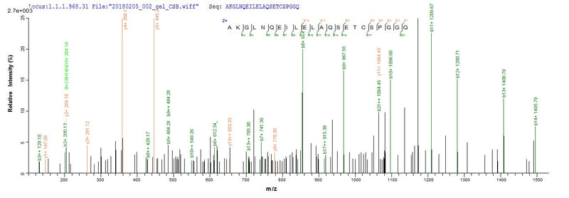 Based on the SEQUEST from database of E.coli host and target protein, the LC-MS/MS Analysis result of this product could indicate that this peptide derived from E.coli-expressed Canis familiaris (Dog) (Canis lupus familiaris) N/A.Recombinant Dog Major Allergen Can F 1 Protein (His-SUMO)