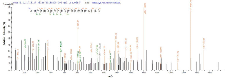 Based on the SEQUEST from database of E.coli host and target protein, the LC-MS/MS Analysis result of this product could indicate that this peptide derived from E.coli-expressed Canis familiaris (Dog) (Canis lupus familiaris) N/A.Recombinant Dog Major Allergen Can F 1 Protein (His-SUMO)