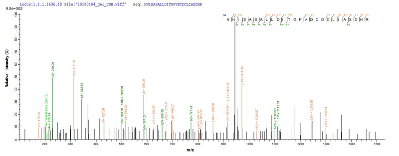Based on the SEQUEST from database of E.coli host and target protein, the LC-MS/MS Analysis result of this product could indicate that this peptide derived from E.coli-expressed Methanothermobacter marburgensis (strain ATCC BAA-927 / DSM 2133 / JCM 14651 / NBRC 100331 / OCM 82 / Marburg) (Methanobacterium thermoautotrophicum) fno.Recombinant Methanothermobacter Marburgensis F420-Dependent Nadp Reductase (FNO) Protein (His&Myc)