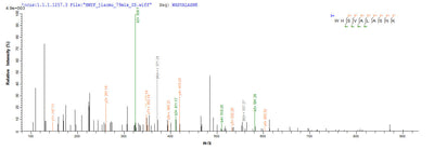 Based on the SEQUEST from database of E.coli host and target protein, the LC-MS/MS Analysis result of this product could indicate that this peptide derived from E.coli-expressed Canis familiaris (Dog) (Canis lupus familiaris) Minor allergen Can f 2.