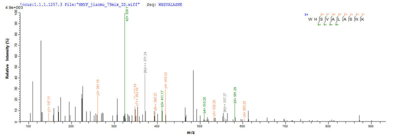 Based on the SEQUEST from database of E.coli host and target protein, the LC-MS/MS Analysis result of this product could indicate that this peptide derived from E.coli-expressed Canis familiaris (Dog) (Canis lupus familiaris) Minor allergen Can f 2.