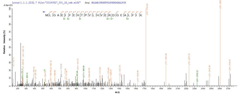 Based on the SEQUEST from database of E.coli host and target protein, the LC-MS/MS Analysis result of this product could indicate that this peptide derived from E.coli-expressed Bacillus subtilis (strain 168) thiO.