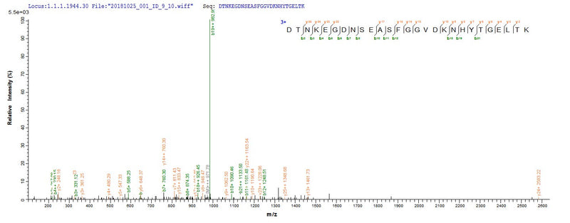 Based on the SEQUEST from database of E.coli host and target protein, the LC-MS/MS Analysis result of this product could indicate that this peptide derived from E.coli-expressed Neosartorya fumigata (strain ATCC MYA-4609 / Af293 / CBS 101355 / FGSC A1100) (Aspergillus fumigatus) pep2.Recombinant Neosartorya Fumigata Vacuolar Protease A (PEP2) Protein (His)