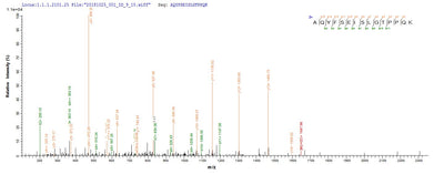 Based on the SEQUEST from database of E.coli host and target protein, the LC-MS/MS Analysis result of this product could indicate that this peptide derived from E.coli-expressed Neosartorya fumigata (strain ATCC MYA-4609 / Af293 / CBS 101355 / FGSC A1100) (Aspergillus fumigatus) pep2.Recombinant Neosartorya Fumigata Vacuolar Protease A (PEP2) Protein (His)